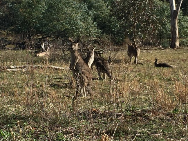 A6D71796-0C67-4A03-BEB1-9DD37F3F35E3