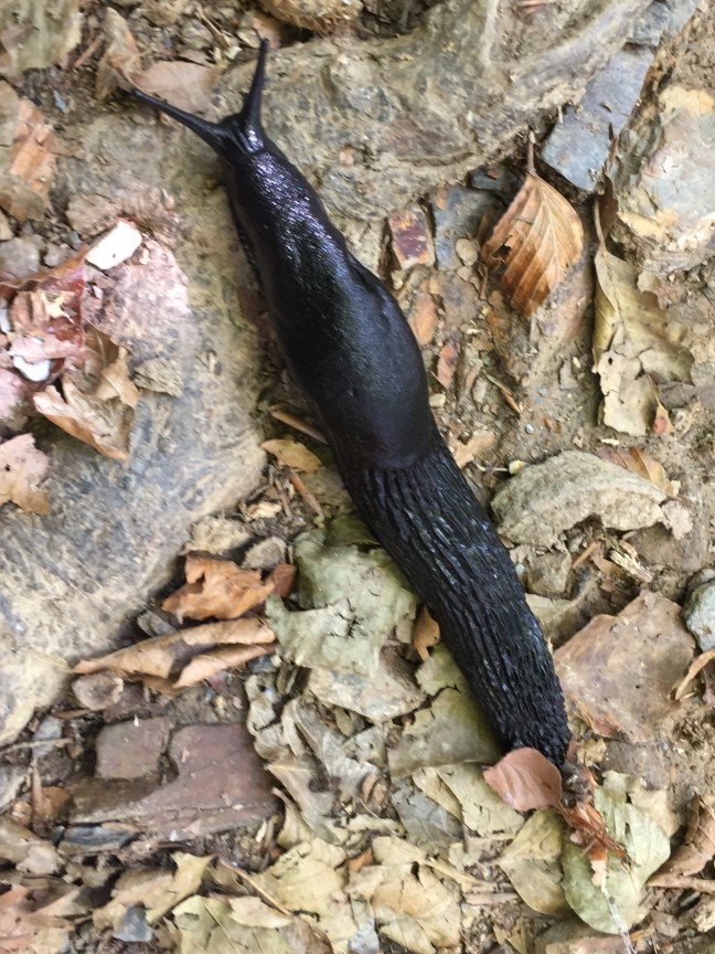 93F3FDD3-A5B0-4576-AC0C-02FBDA6BAD51