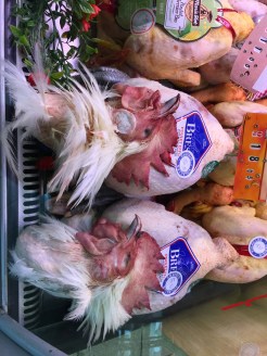 F6D62FC0-B351-4CF5-AE67-1B11A37C26D7