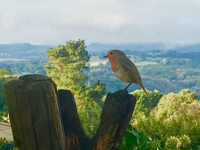 80825DCA-7A25-4B0F-94BC-E0A4A78677EB