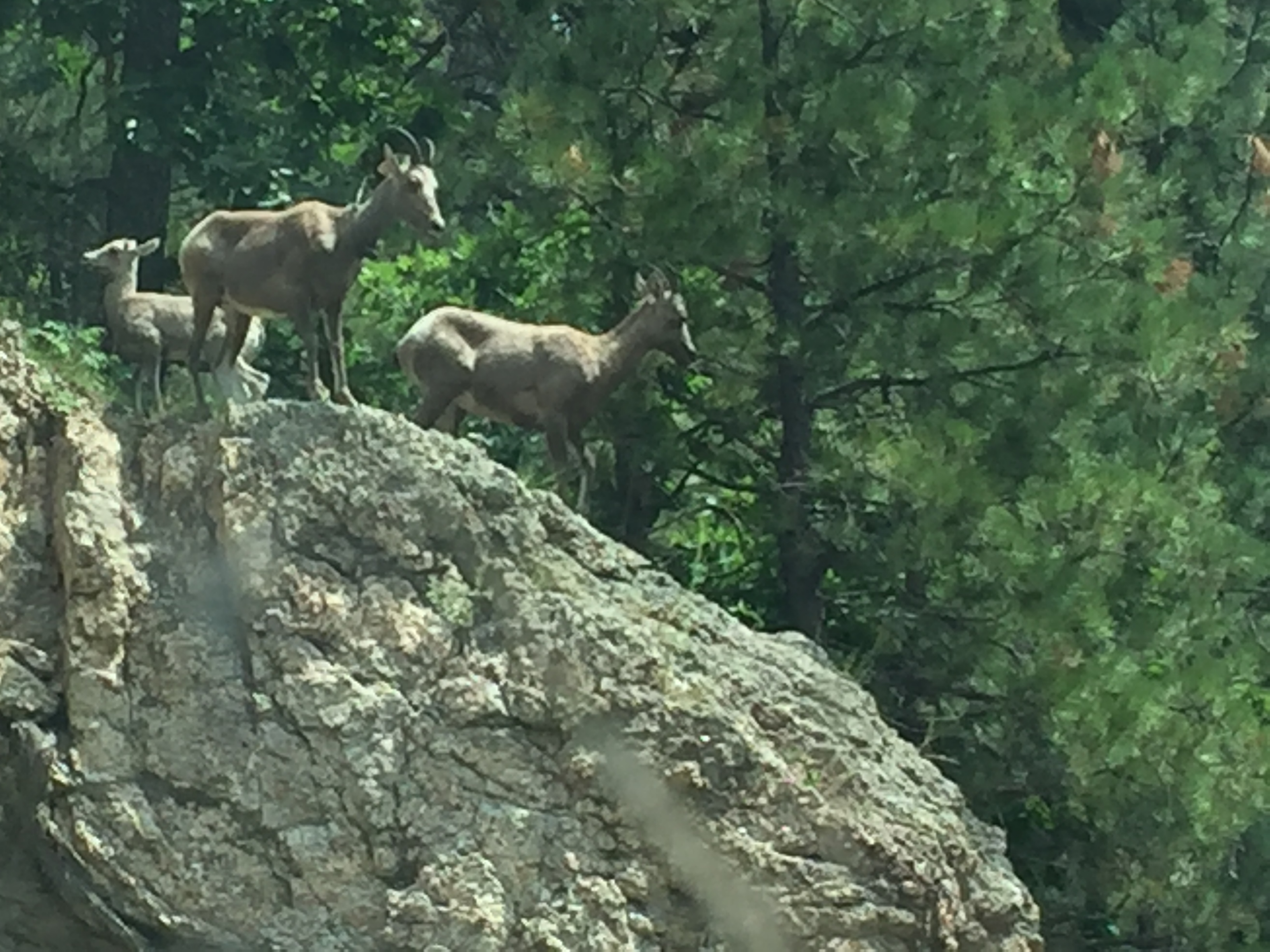 53592678-3F91-4E8D-BE3F-D6591DC93455