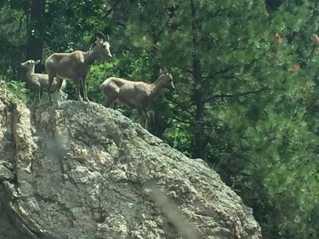 53592678-3F91-4E8D-BE3F-D6591DC93455