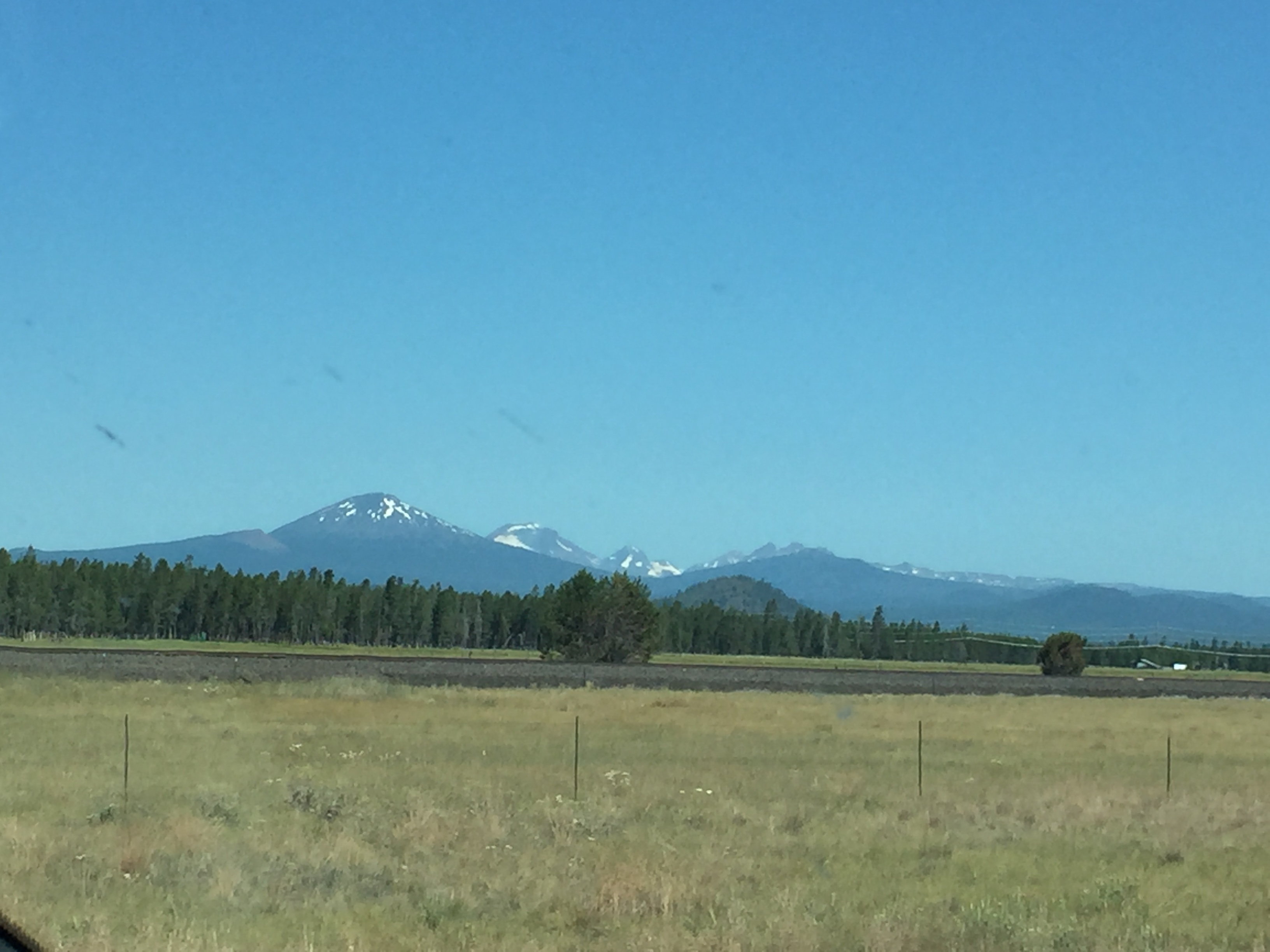 DC20C83E-E349-4B1A-862E-52789E434638