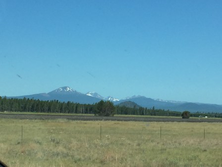 DC20C83E-E349-4B1A-862E-52789E434638